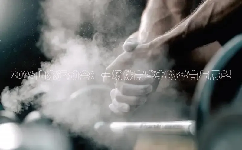 zoty中欧集团
