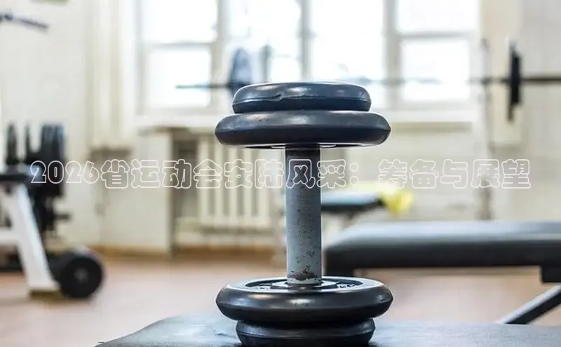 zoty中欧·官方官网